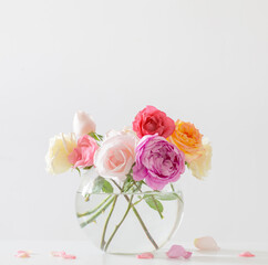 beautiful roses in round glass vase on white background