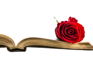 An Open Love Story with a Marked Passage That Captures Deep Emotions Isolated on transparent background PNG