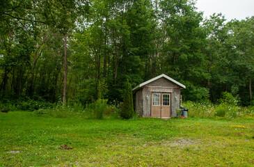 A cozy small cabin sits amidst vibrant green grass and trees, evoking a peaceful rustic lifestyle and harmony with nature. Perfect for themes of rural living, retreat, and tranquil solitude.