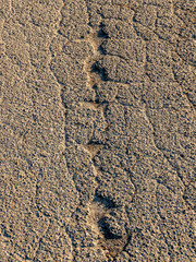 Schlagloch auf einer Teerstrasse