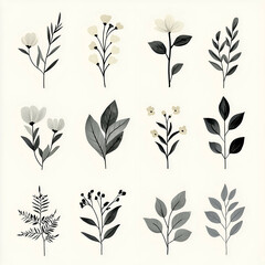 Botanical Illustration: Eco-Friendly Floral Art and Design for Home Decor & Gift Wrap