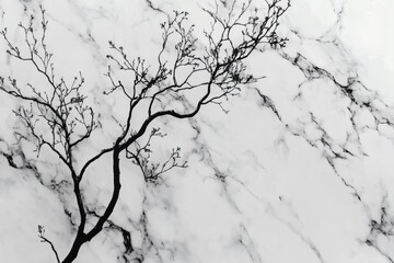 Obraz premium Abstract minimalist tree silhouette on white marble texture background