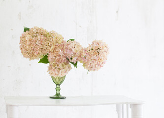 hydrangea in green glass on white background