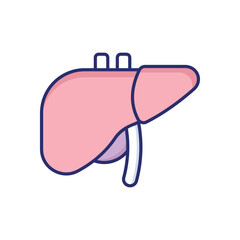 Liver  vector icon
