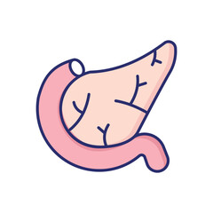 Pancreas vector icon