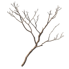 Bare Branches in a Vibrant Abstract World A Surreal Scene