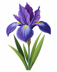 Vibrant purple iris flower blooming against a soft white background