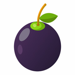 Colorful illustration of a ripe plum with a green leaf on a white background