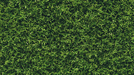 Lush Green Grass Texture