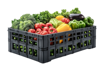 Freshly harvested colorful vegetables in a black crate ready for market display or local grocery store