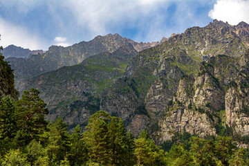 Majestic mountain peaks rising above lush green pine forest