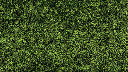 Vibrant Green Grass Texture