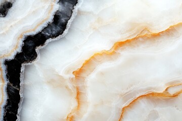 Obraz premium A detailed view of a black and white patterned marble slab showcasing its intricate design.