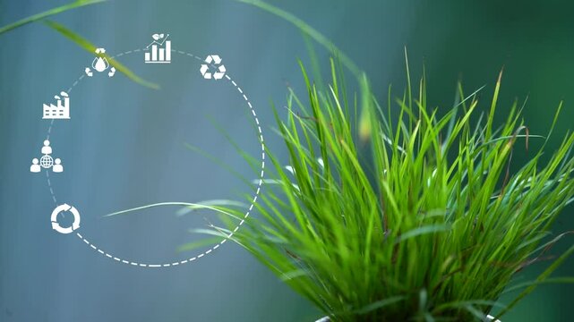 Circular Economy concept.Green Growth Circular Economy and Renewable Resources.Circular Economy and Environmental Innovation.Place for logo.