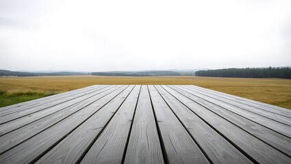 a wooden deck with weathered, grayish-white planks, extending into the distance. The background features a vast, open landscape with a tree line and a hazy horizon under a cloudy sky
