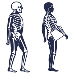 silhouette x - ray on white background