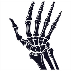 silhouette x - ray on white background