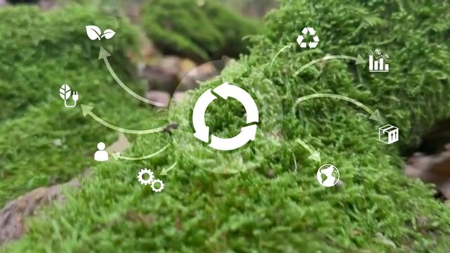 Green Technology and Circular Economy Closing the Loop for Sustainability.Circular Economy and Renewable Solutions A Path to Net Zero.