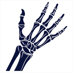 silhouette x - ray on white background