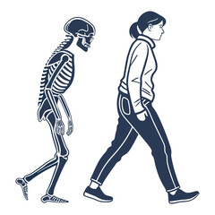 silhouette x - ray on white background