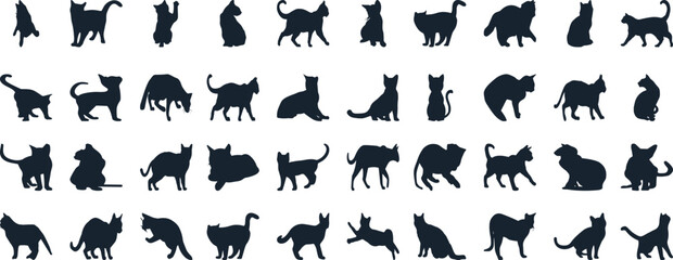 Cat Silhouettes Vector Illustration, perfect for Halloween, cat lovers. Features various cat poses, paw prints. Ideal for pet, animal, feline, domestic, house cat