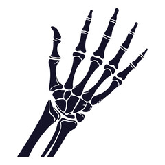 silhouette x - ray on white background