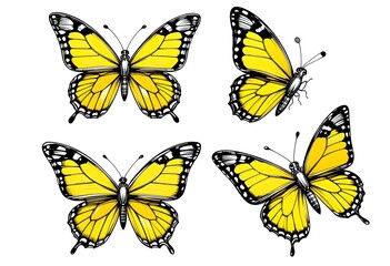 Obraz premium A set of 4 different yellow butterflies, cute children's book illustration style, on a white background.