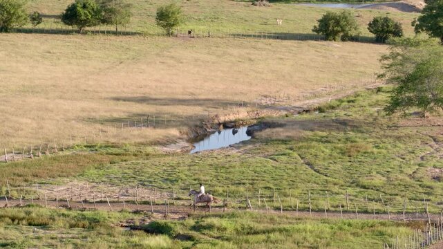Surubim Aerial Rural View - Galloping Horse in Pasture

