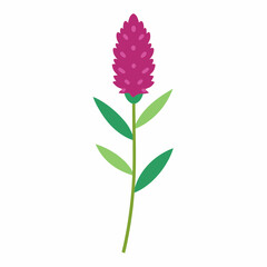 Vibrant pink flower illustration with green leaves on a white background