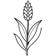 Hand-drawn illustration of a flowering plant with intricate details