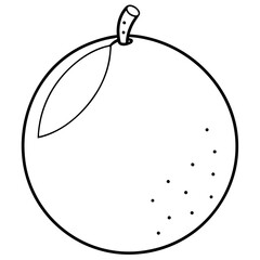 Close-up of a leaf with water droplets, showcasing nature's beauty