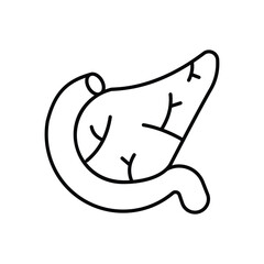 Pancreas vector icon