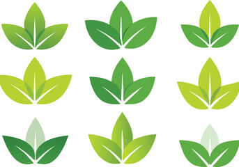 green leaves isolated on white