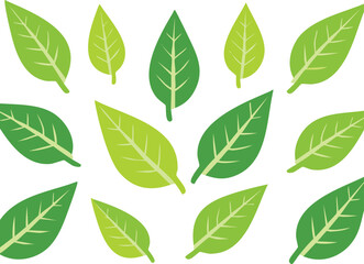 green leaves background