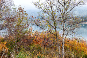 Fototapeta premium Otoño en la Laguna del Campillo