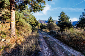 Camino en el cerro Bañaderos