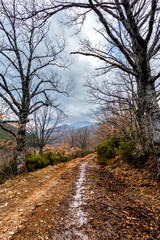 Camino del Cerrón en invierno