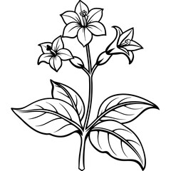 Elegant line art of blooming flowers with intricate details and leaves