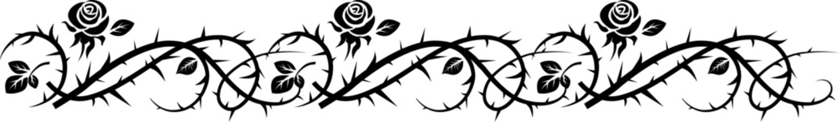 Border of Roses and thorns