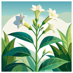 Vibrant white flowers blooming against a serene blue sky backdrop