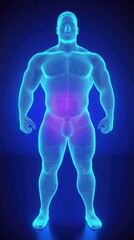 3D anatomical model of human body, abdomen highlighted, medical illustration