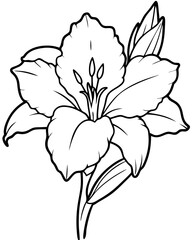 Detailed line drawing of a hibiscus flower with leaves, showcasing nature