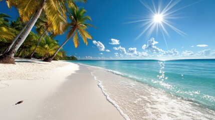 Tropical beach scene with palm trees, sunny day, calm ocean