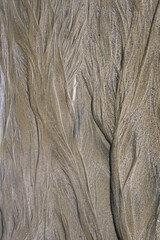 Background of abstract tree formations in the sand of a beach