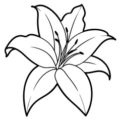 Elegant floral illustration of a lily with intricate details and lines