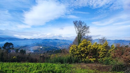 The vineyards of the Douro Valley Portugal River in spring on a sunny day. Mountain slopes with vineyards, preparing for the start of the season