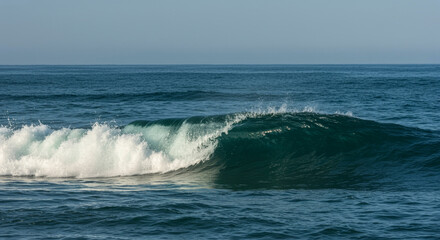 Wave in the sea