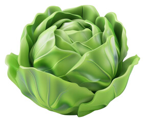 Obraz premium PNG Realistic green cabbage illustration