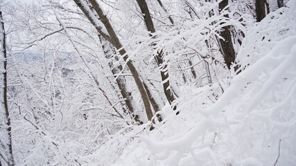 Snowy landscape of Juwangsan Mountain in Korea