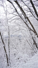 Snowy landscape of Juwangsan Mountain in Korea